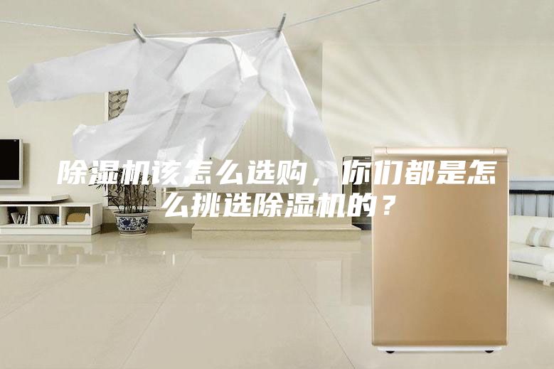 除濕機該怎么選購，你們都是怎么挑選除濕機的？