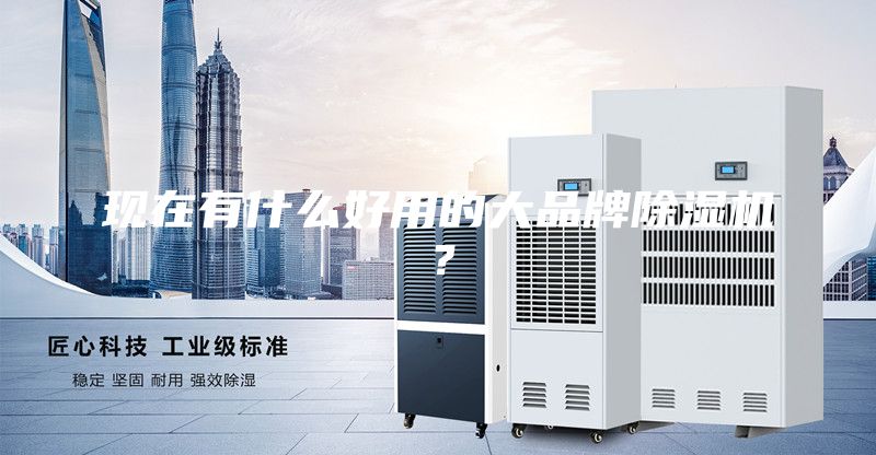 現(xiàn)在有什么好用的大品牌除濕機(jī)？
