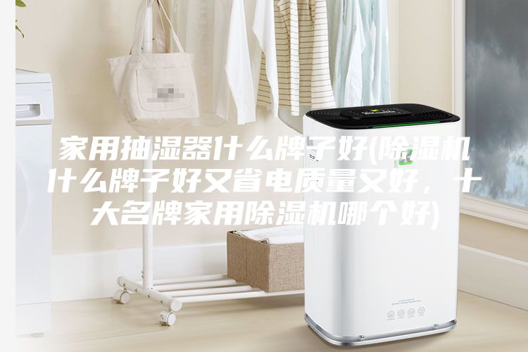 家用抽濕器什么牌子好(除濕機什么牌子好又省電質量又好，十大名牌家用除濕機哪個好)
