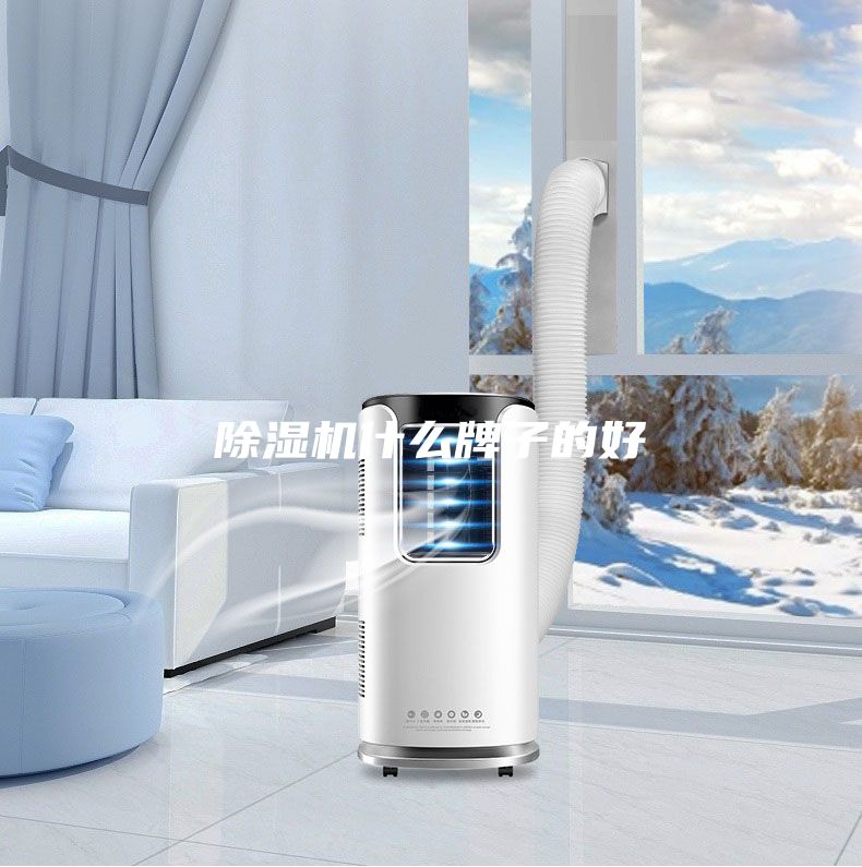 除濕機(jī)什么牌子的好
