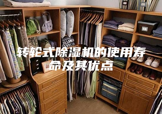 轉(zhuǎn)輪式除濕機(jī)的使用壽命及其優(yōu)點