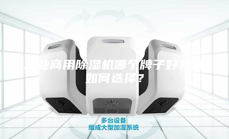 工業(yè)商用除濕機(jī)哪個(gè)牌子好？該如何選擇？