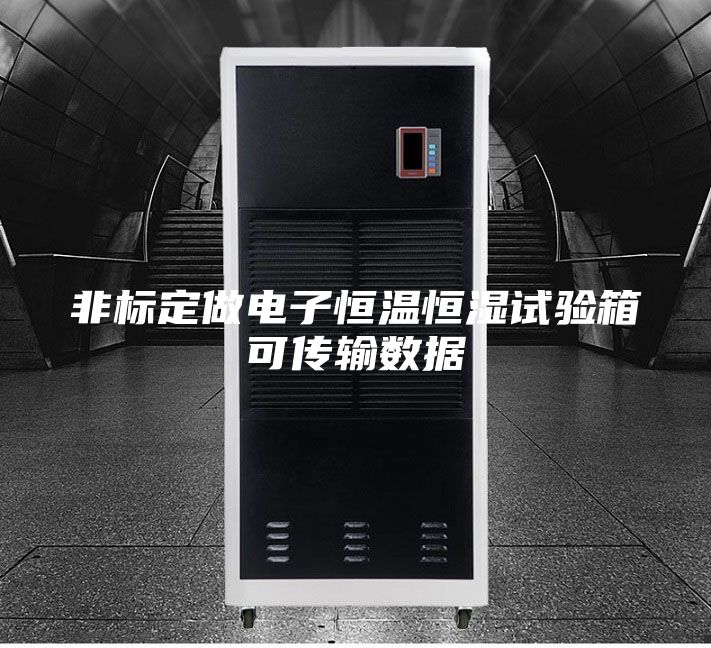 非標定做電子恒溫恒濕試驗箱可傳輸數據