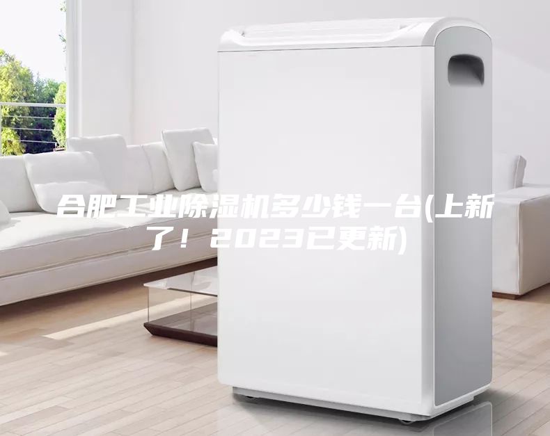 合肥工業(yè)除濕機(jī)多少錢一臺(tái)(上新了！2023已更新)