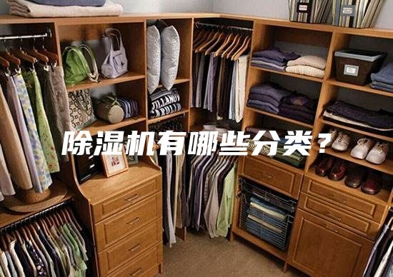 除濕機有哪些分類？