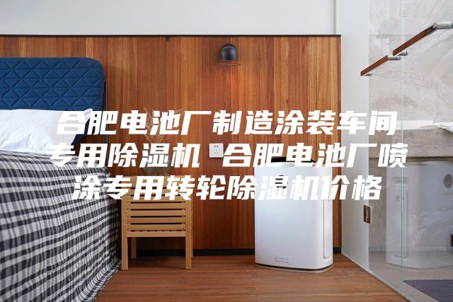 合肥電池廠制造涂裝車間專用除濕機(jī) 合肥電池廠噴涂專用轉(zhuǎn)輪除濕機(jī)價格