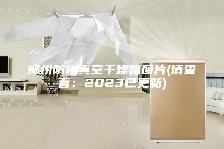 柳州防爆真空干燥箱圖片(請(qǐng)查看：2023已更新)