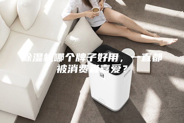 除濕機哪個(gè)牌子好用，一直都被消費者喜愛(ài)？