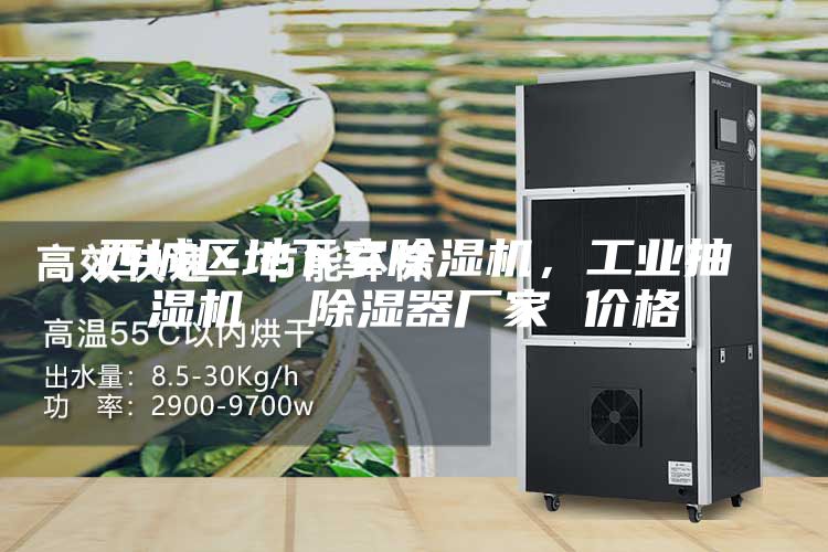 西城區地下室除濕機，工業(yè)抽濕機  除濕器廠(chǎng)家 價(jià)格