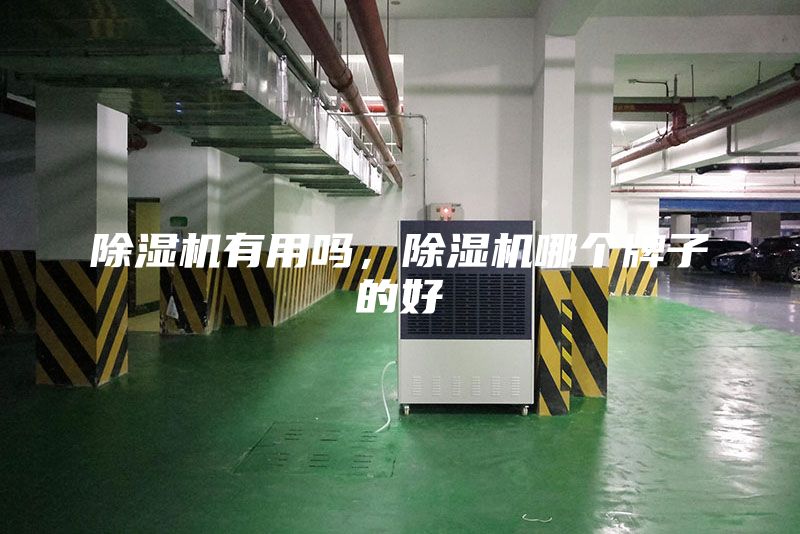 除濕機有用嗎，除濕機哪個(gè)牌子的好