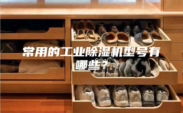 常用的工業(yè)除濕機型號有哪些？