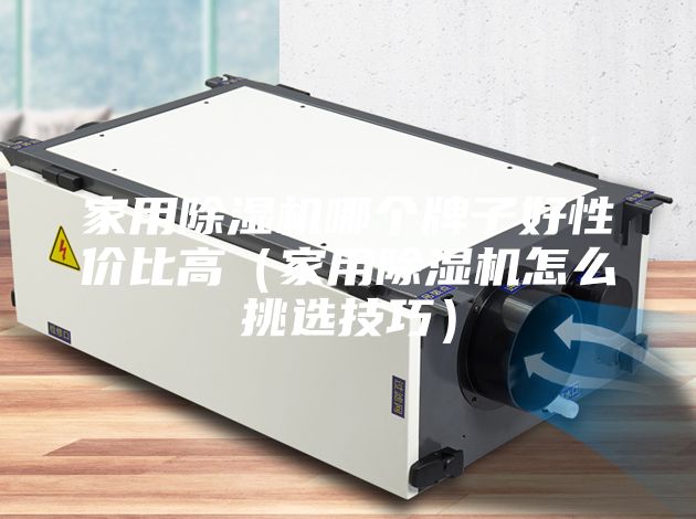 家用除濕機哪個(gè)牌子好性?xún)r(jià)比高（家用除濕機怎么挑選技巧）