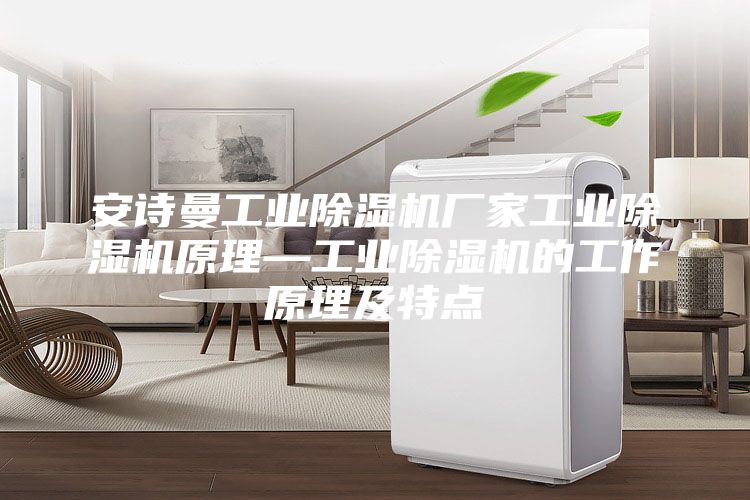 安詩(shī)曼工業(yè)除濕機廠(chǎng)家工業(yè)除濕機原理—工業(yè)除濕機的工作原理及特點(diǎn)