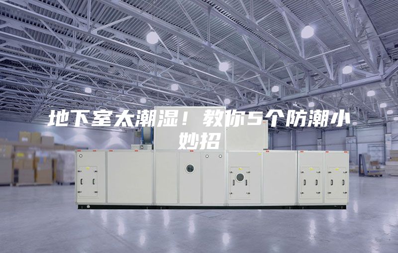 地下室太潮濕！教你5個防潮小妙招