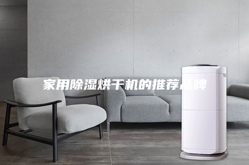 家用除濕烘干機(jī)的推薦品牌