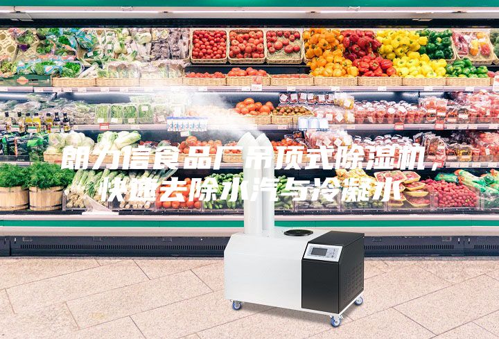 朗力信食品廠吊頂式除濕機，快速去除水汽與冷凝水