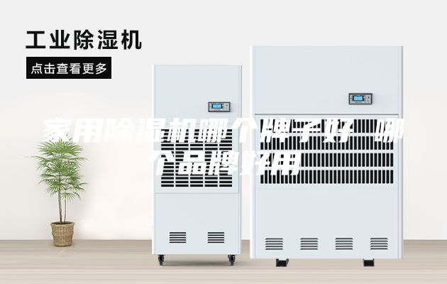 家用除濕機哪個牌子好 哪個品牌好用