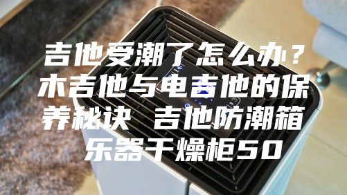 吉他受潮了怎么辦？木吉他與電吉他的保養(yǎng)秘訣 吉他防潮箱 樂(lè)器干燥柜50