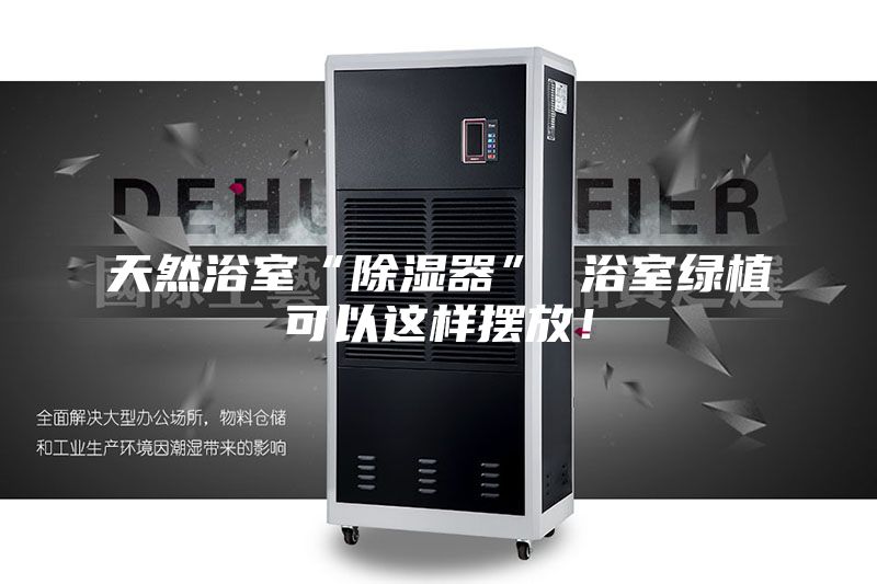 天然浴室“除濕器” 浴室綠植可以這樣擺放！