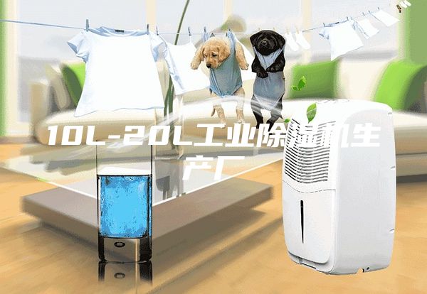 10L-20L工業(yè)除濕機生產(chǎn)廠(chǎng)