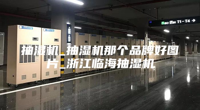 抽濕機_抽濕機那個(gè)品牌好圖片_浙江臨海抽濕機