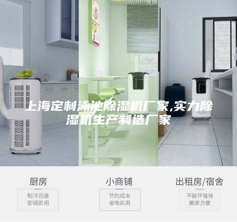 上海定制泳池除濕機廠家,實力除濕機生產(chǎn)制造廠家