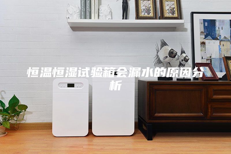 恒溫恒濕試驗箱會(huì )漏水的原因分析