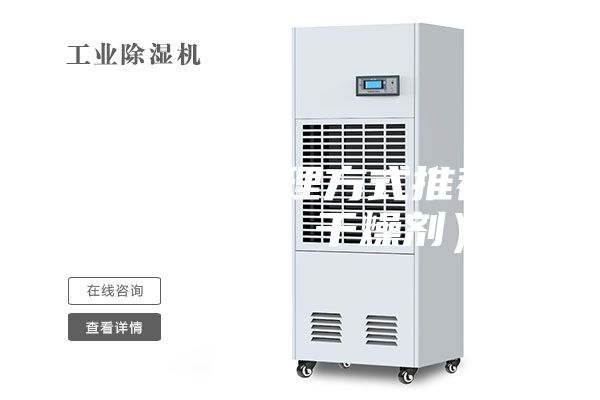 房間潮濕處理方式推薦（除濕機、干燥劑）