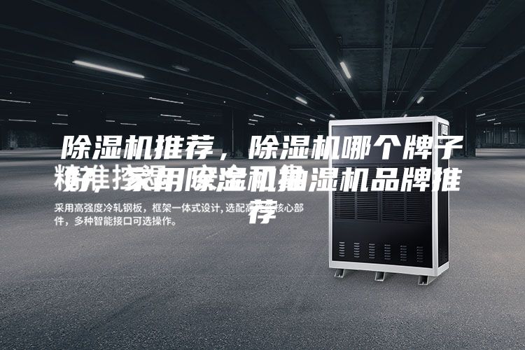 除濕機(jī)推薦，除濕機(jī)哪個牌子好, 家用除濕機(jī)抽濕機(jī)品牌推薦