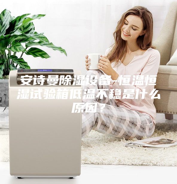安詩(shī)曼除濕設備-恒溫恒濕試驗箱低溫不穩是什么原因？