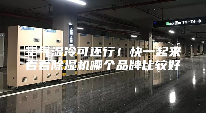 空氣濕冷可還行！快一起來(lái)看看除濕機哪個(gè)品牌比較好