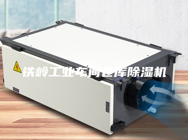 鐵嶺工業(yè)車(chē)間倉庫除濕機