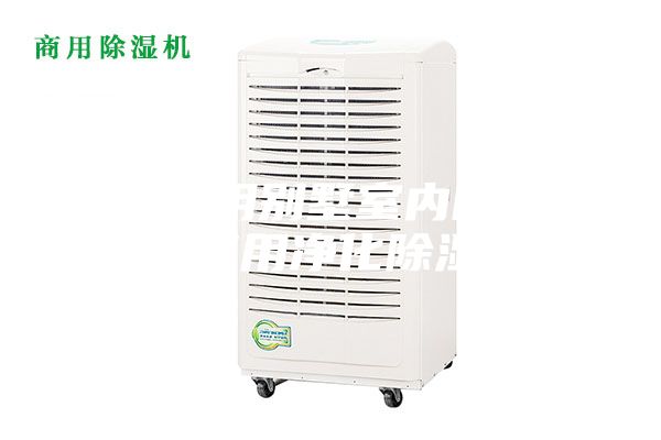 武漢家用別墅室內除濕機，商用凈化除濕機