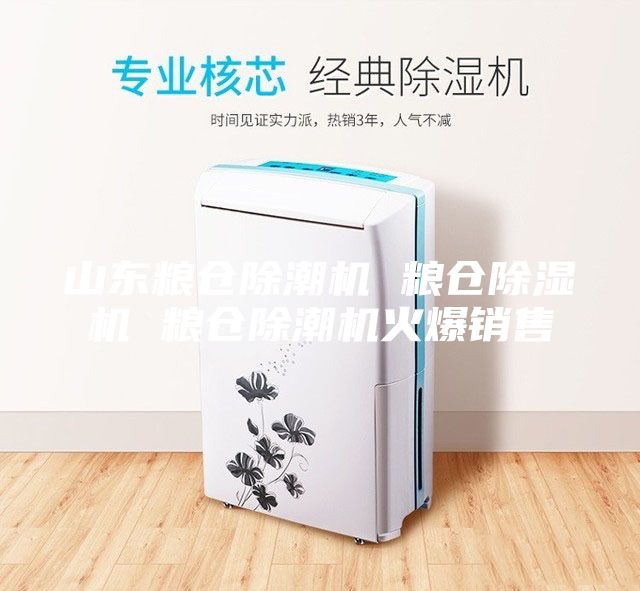 山東糧倉除潮機 糧倉除濕機 糧倉除潮機火爆銷(xiāo)售