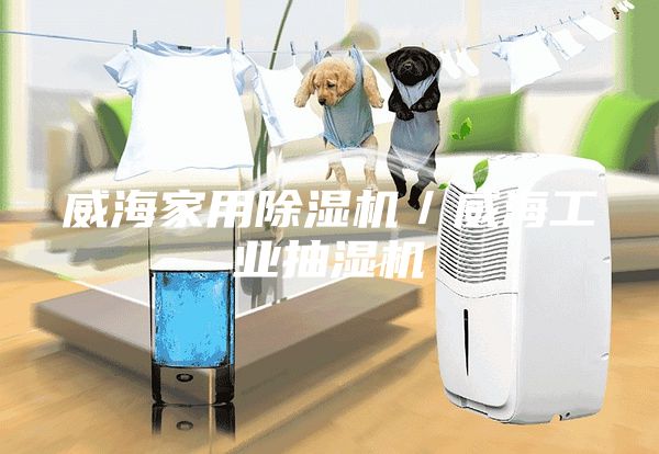 威海家用除濕機(jī)／威海工業(yè)抽濕機(jī)