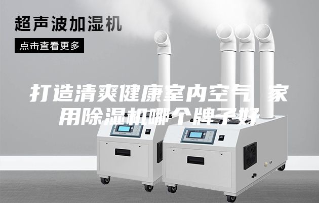 打造清爽健康室內空氣 家用除濕機哪個(gè)牌子好