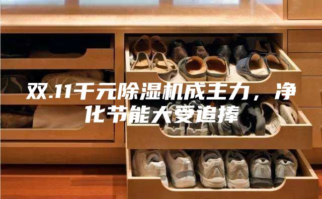 雙.11千元除濕機成主力，凈化節能大受追捧