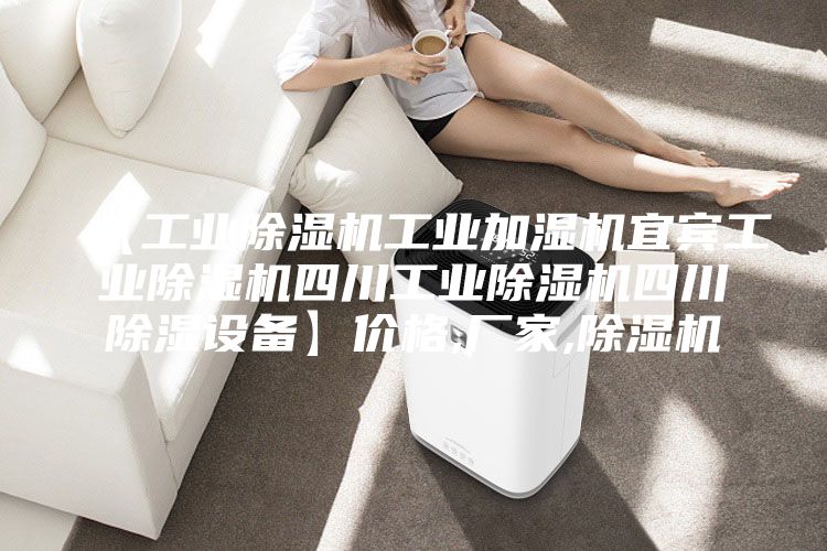 【工業(yè)除濕機工業(yè)加濕機宜賓工業(yè)除濕機四川工業(yè)除濕機四川除濕設備】?jì)r(jià)格,廠(chǎng)家,除濕機
