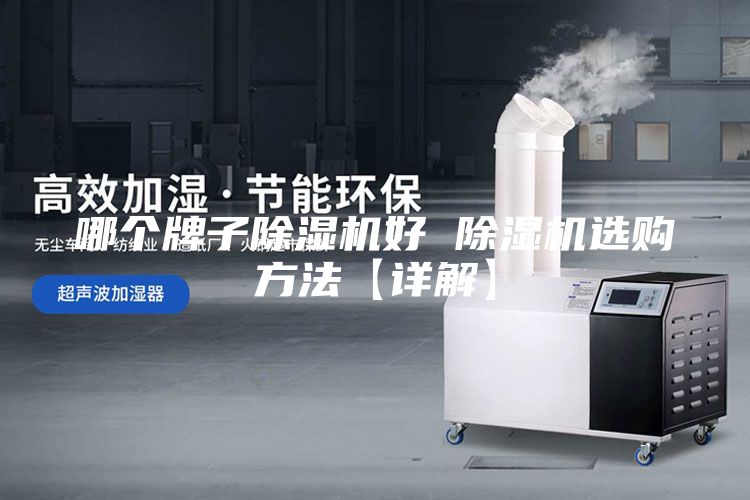 哪個牌子除濕機好 除濕機選購方法【詳解】