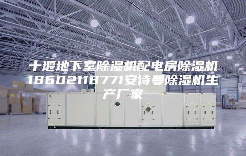 十堰地下室除濕機配電房除濕機18602118771安詩(shī)曼除濕機生產(chǎn)廠(chǎng)家