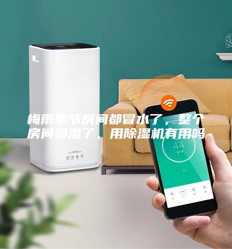 梅雨季節房間都冒水了，整個(gè)房間都濕了，用除濕機有用嗎