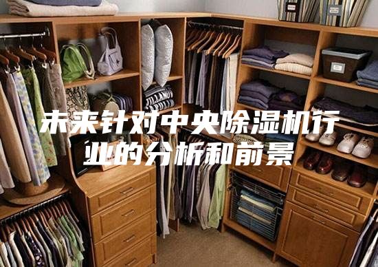 未來(lái)針對中央除濕機行業(yè)的分析和前景