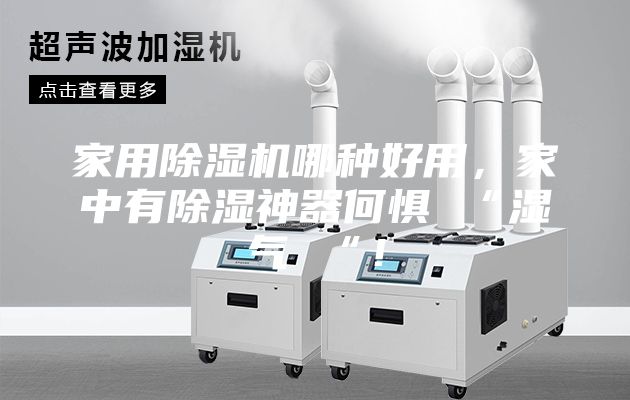 家用除濕機哪種好用，家中有除濕神器何懼 “濕氣 “！