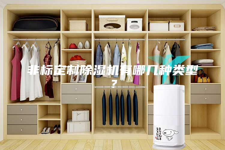 非標定制除濕機有哪幾種類(lèi)型？