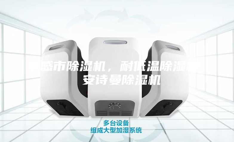 孝感市除濕機，耐低溫除濕機  安詩(shī)曼除濕機