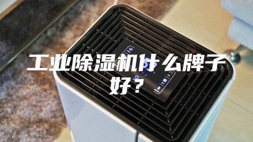 工業(yè)除濕機什么牌子好？