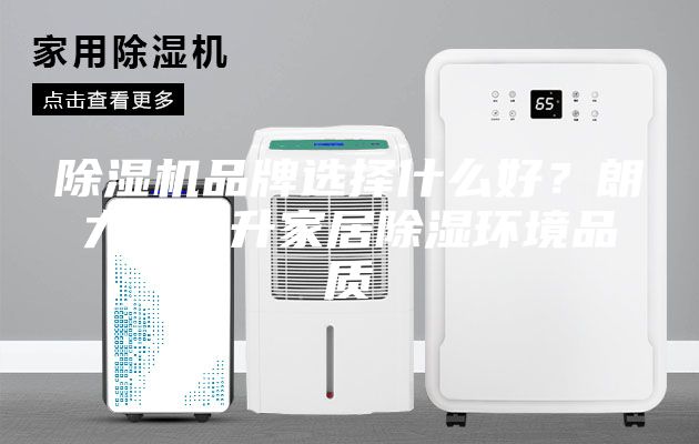 除濕機品牌選擇什么好？朗力信提升家居除濕環(huán)境品質(zhì)