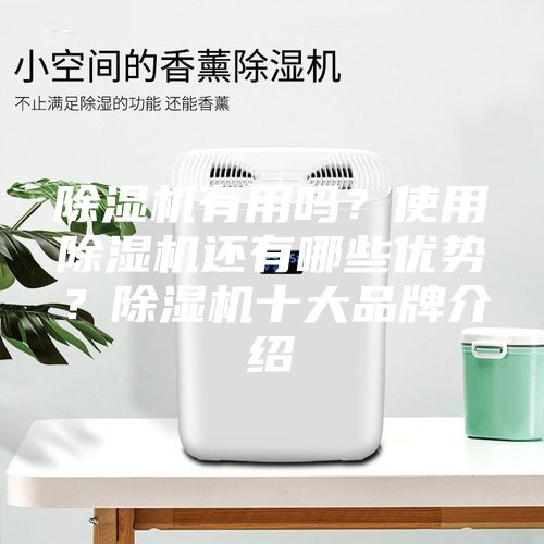 除濕機有用嗎？使用除濕機還有哪些優(yōu)勢？除濕機十大品牌介紹