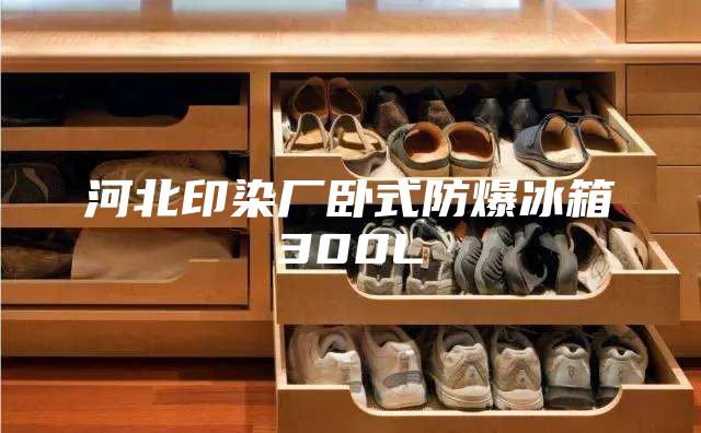 河北印染廠(chǎng)臥式防爆冰箱300L