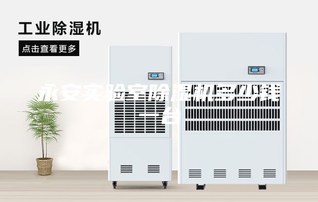 永安實(shí)驗室除濕機多少錢(qián)一臺